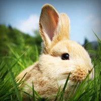 /album/todo-para-chicas/photolia-a03-jpg/